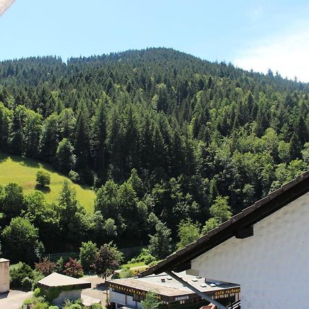 Ferienwohnung Schwarzwaldblick Bad Rippoldsau-Schapbach المظهر الخارجي الصورة