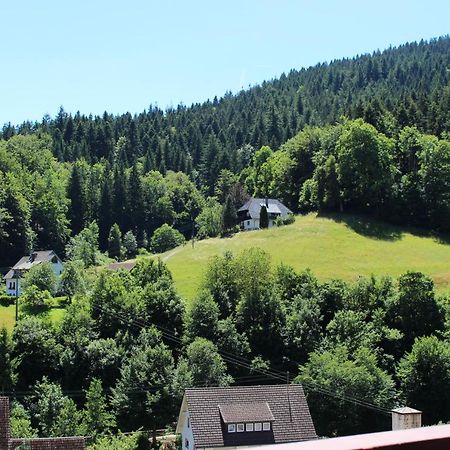 Ferienwohnung Schwarzwaldblick Bad Rippoldsau-Schapbach المظهر الخارجي الصورة