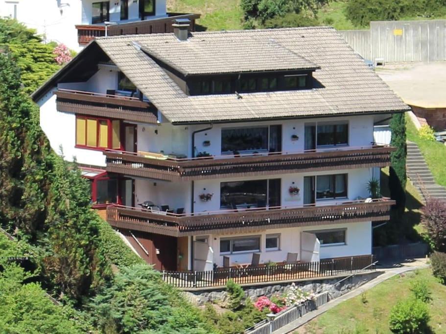 Ferienwohnung Schwarzwaldblick Bad Rippoldsau-Schapbach المظهر الخارجي الصورة