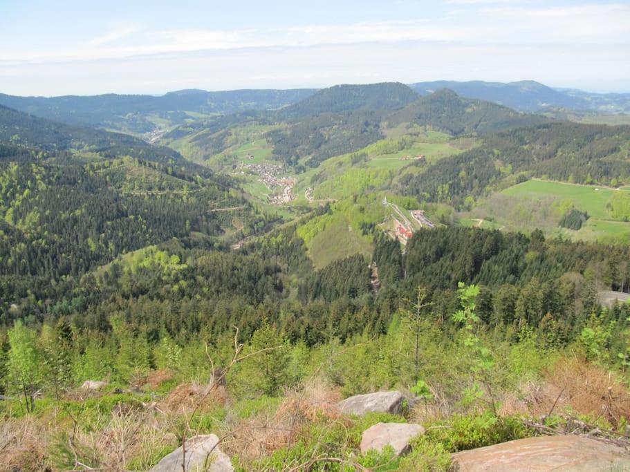 Ferienwohnung Schwarzwaldblick Bad Rippoldsau-Schapbach المظهر الخارجي الصورة