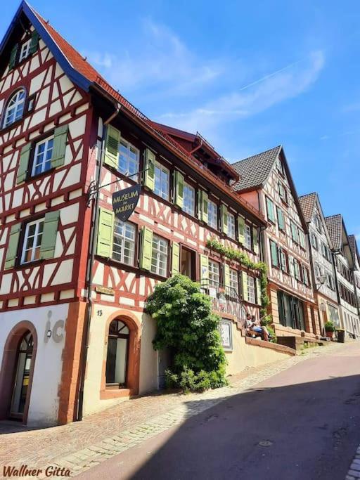 Ferienwohnung Schwarzwaldblick Bad Rippoldsau-Schapbach المظهر الخارجي الصورة