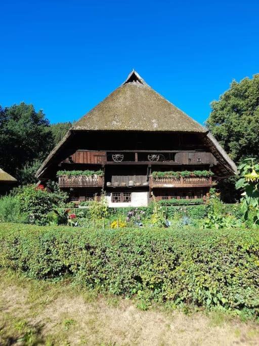 Ferienwohnung Schwarzwaldblick Bad Rippoldsau-Schapbach المظهر الخارجي الصورة