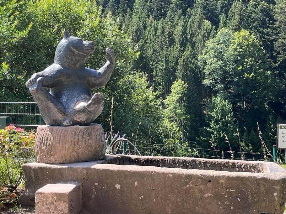 Ferienwohnung Schwarzwaldblick Bad Rippoldsau-Schapbach المظهر الخارجي الصورة