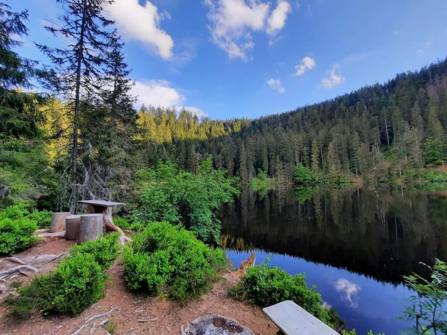 Ferienwohnung Schwarzwaldblick Bad Rippoldsau-Schapbach المظهر الخارجي الصورة
