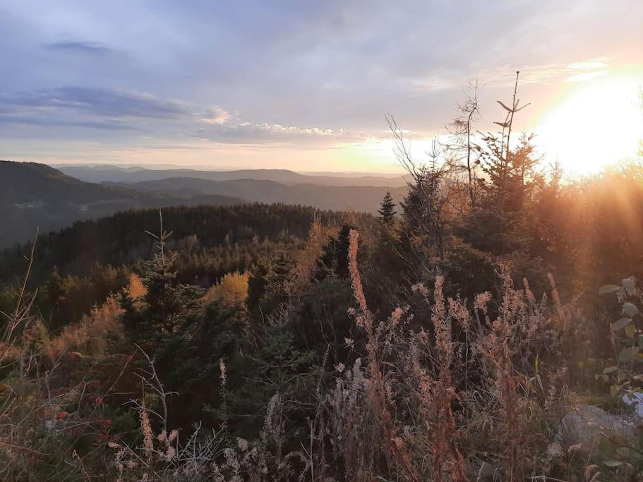 Ferienwohnung Schwarzwaldblick Bad Rippoldsau-Schapbach المظهر الخارجي الصورة