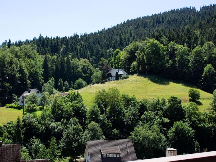 Ferienwohnung Schwarzwaldblick Bad Rippoldsau-Schapbach المظهر الخارجي الصورة