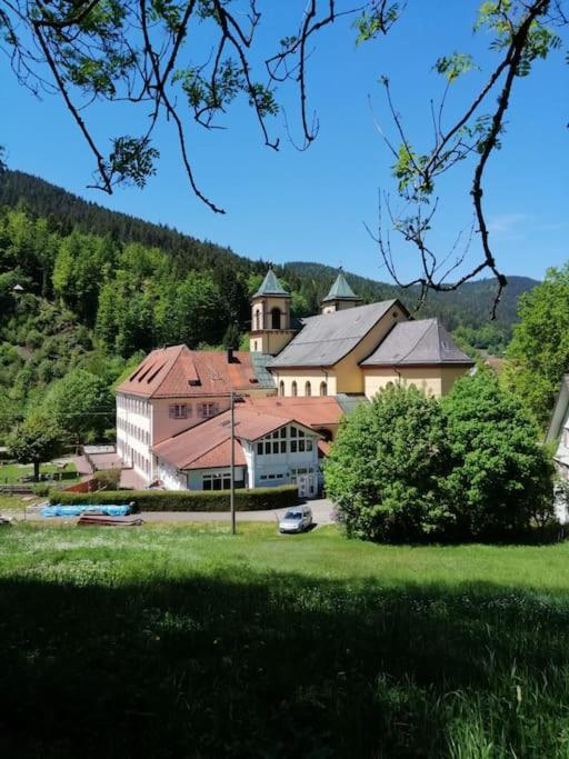 Ferienwohnung Schwarzwaldblick Bad Rippoldsau-Schapbach المظهر الخارجي الصورة