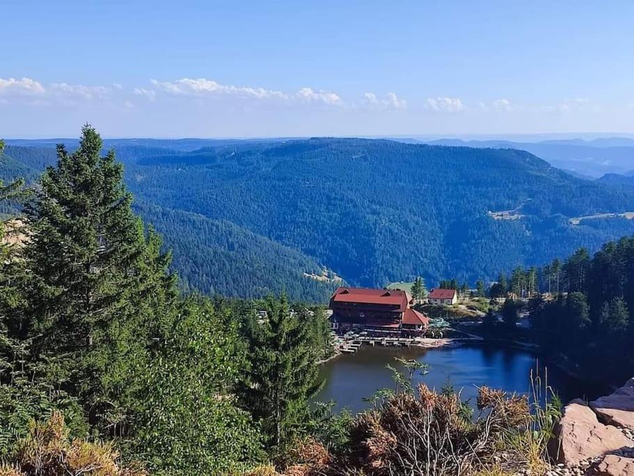 Ferienwohnung Schwarzwaldblick Bad Rippoldsau-Schapbach المظهر الخارجي الصورة