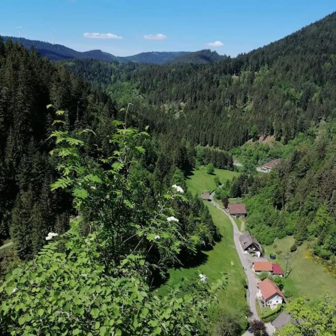 Ferienwohnung Schwarzwaldblick Bad Rippoldsau-Schapbach المظهر الخارجي الصورة