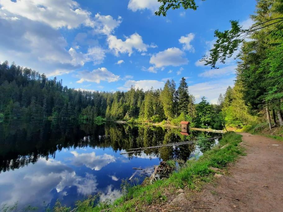 Ferienwohnung Schwarzwaldblick Bad Rippoldsau-Schapbach المظهر الخارجي الصورة