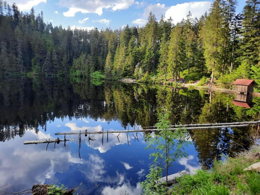 Ferienwohnung Schwarzwaldblick Bad Rippoldsau-Schapbach المظهر الخارجي الصورة