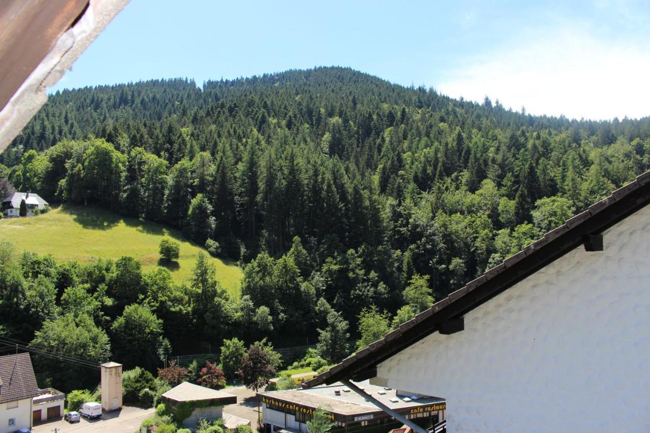 Ferienwohnung Schwarzwaldblick Bad Rippoldsau-Schapbach المظهر الخارجي الصورة