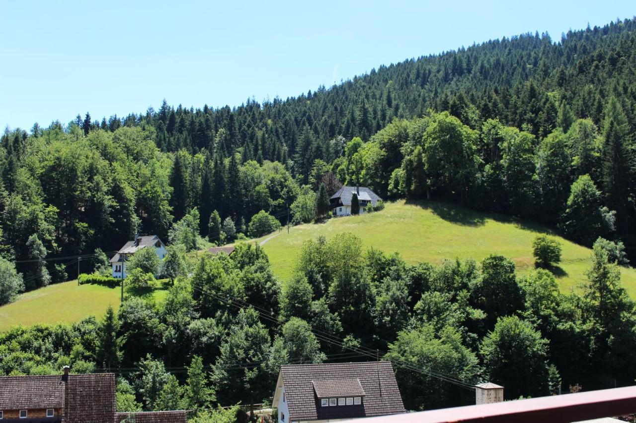 Ferienwohnung Schwarzwaldblick Bad Rippoldsau-Schapbach المظهر الخارجي الصورة